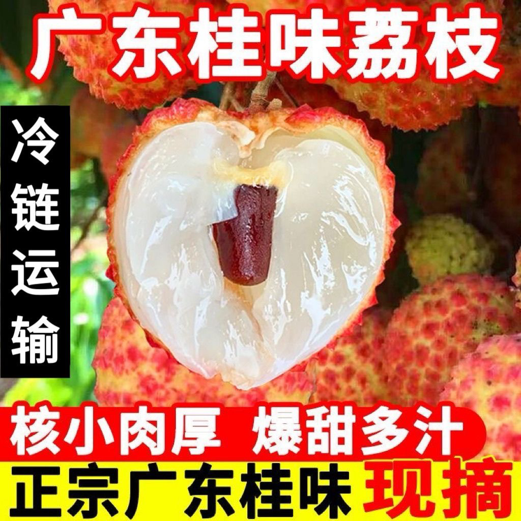 【顺丰京东｜助农桂味】广东正宗桂味荔枝当季现摘现发桂味荔枝整箱