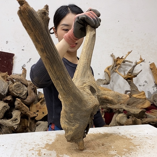 用***8柏木我们都是好孩子