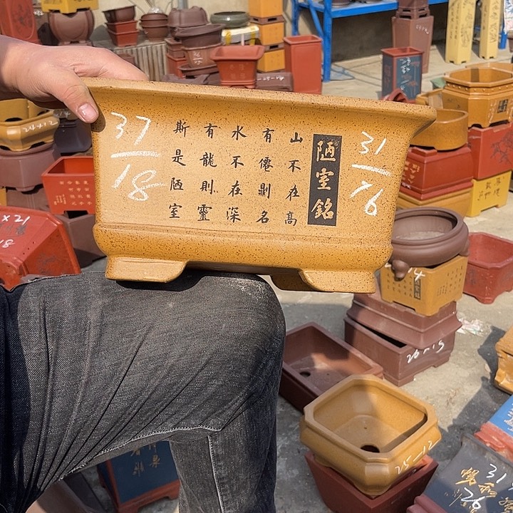 紫砂花盆紫砂花等