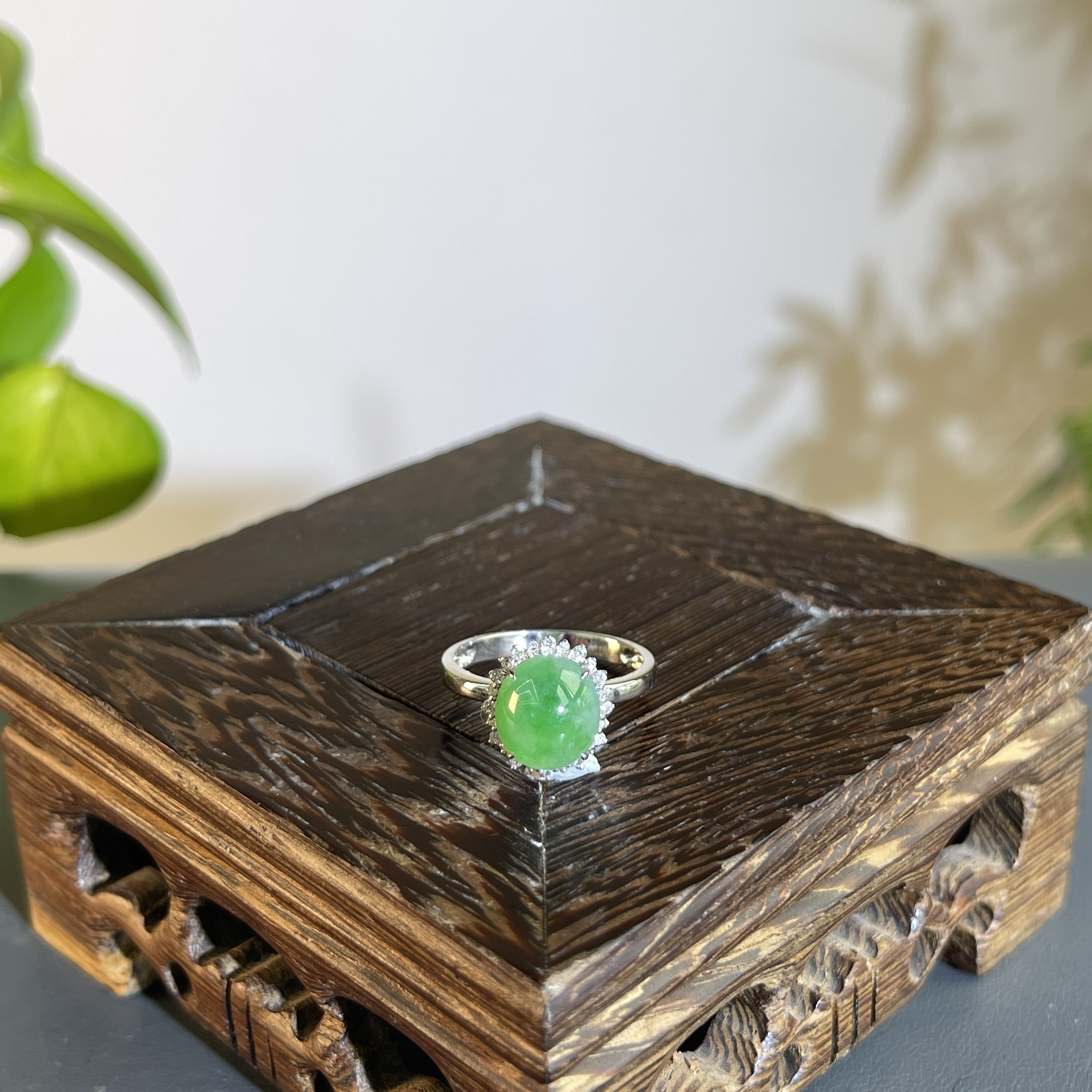 JTB25-204  天然缅甸翡翠A货 18K含钻镶嵌蛋面戒指14#