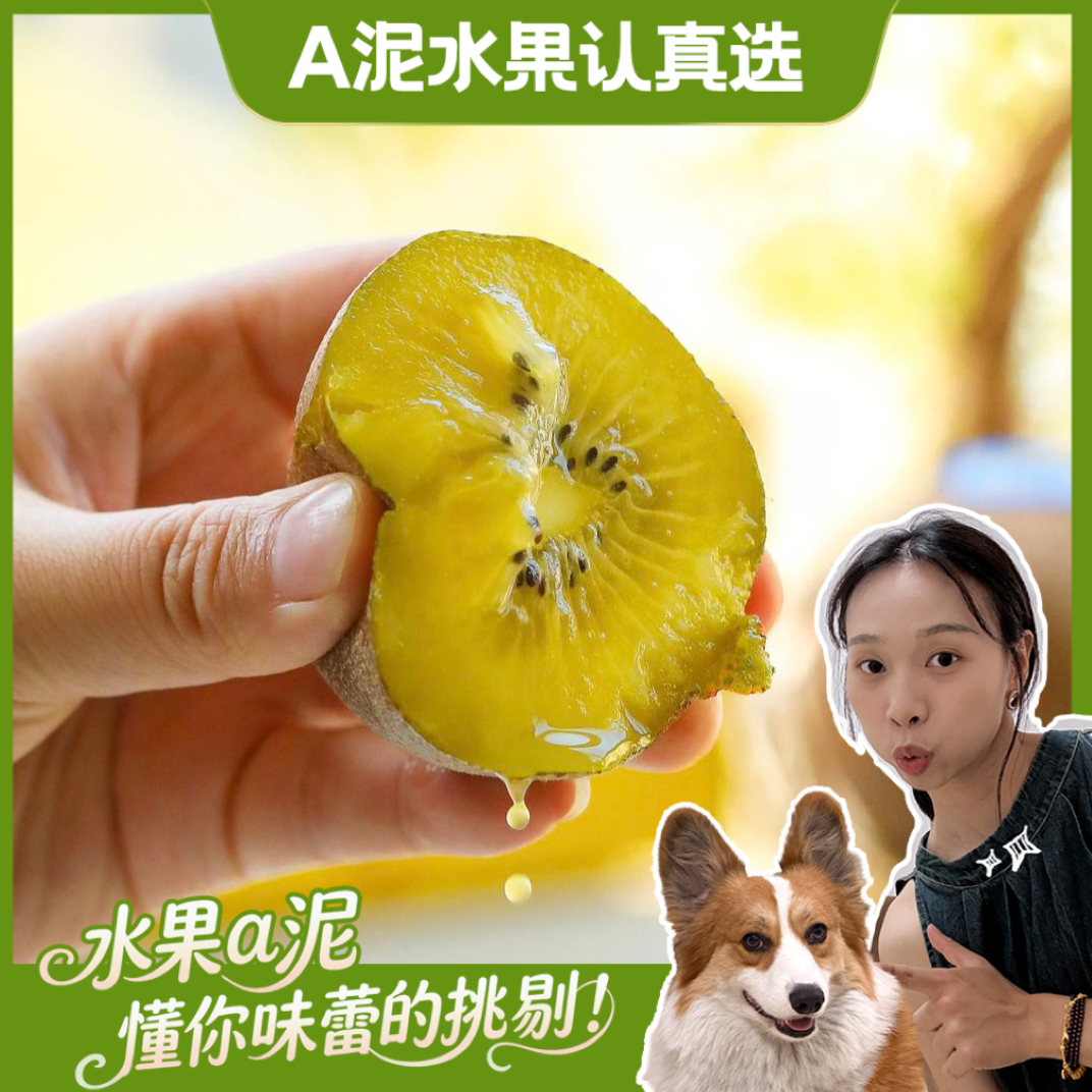 陕西“金蜜”秋弥 黄心猕猴桃3斤精品礼盒装【顺丰包邮+产地直发】