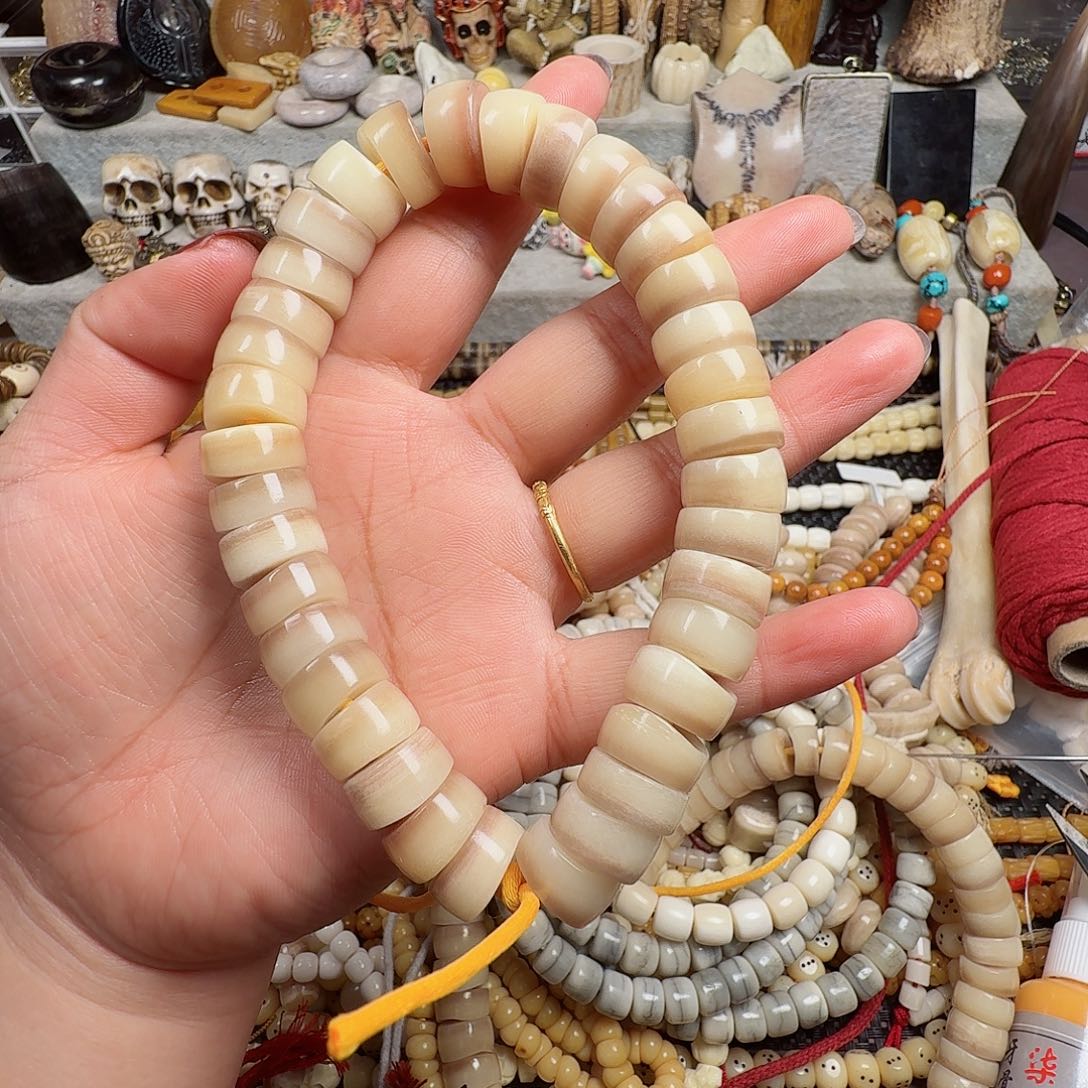 牛骨其他0000000000240