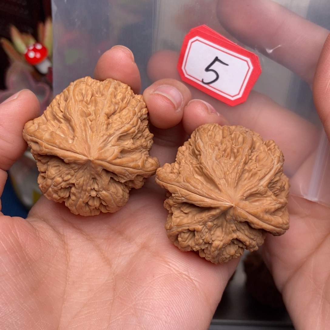 文玩核桃吊坠5号 大粗筋