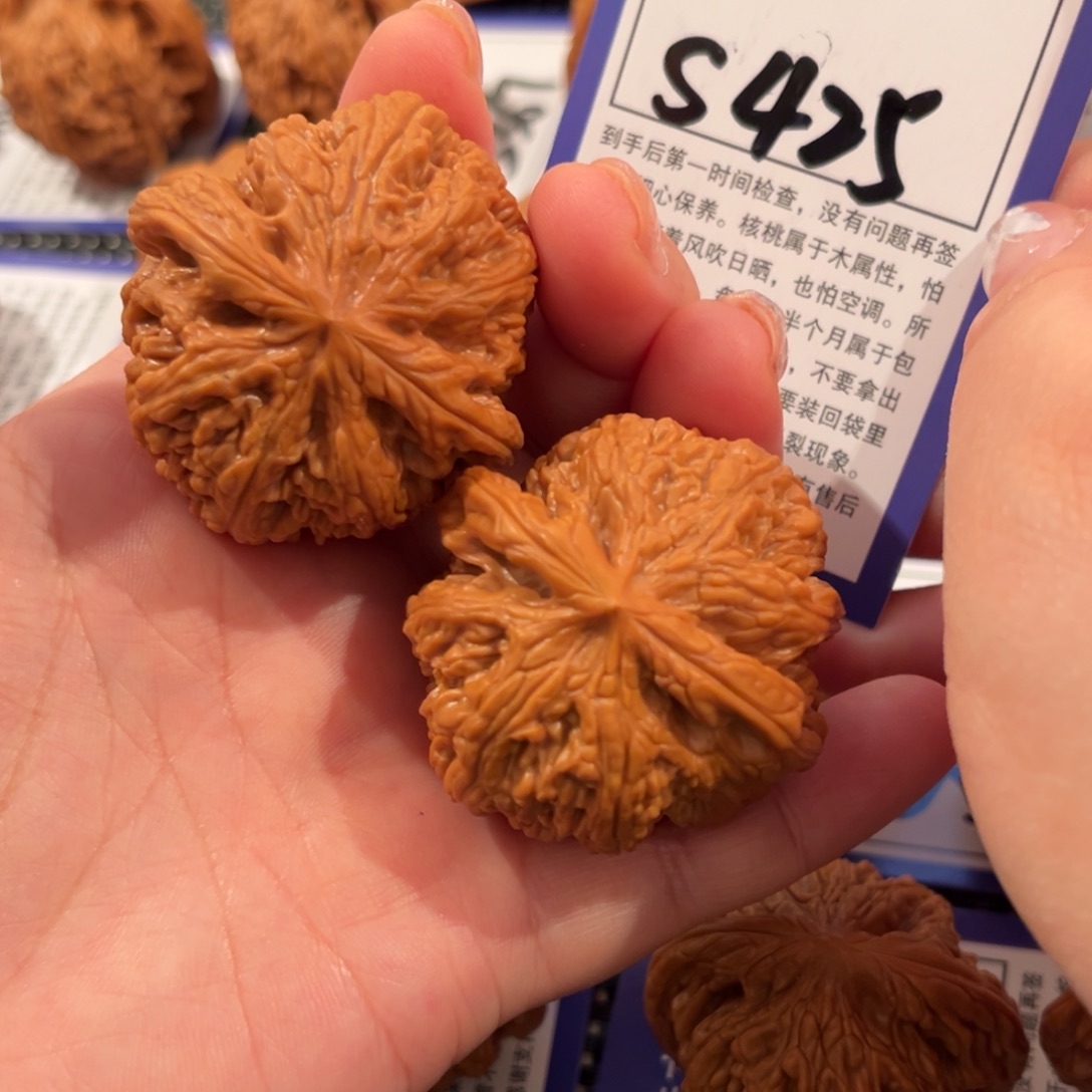 初***林核桃S425粗筋43尺