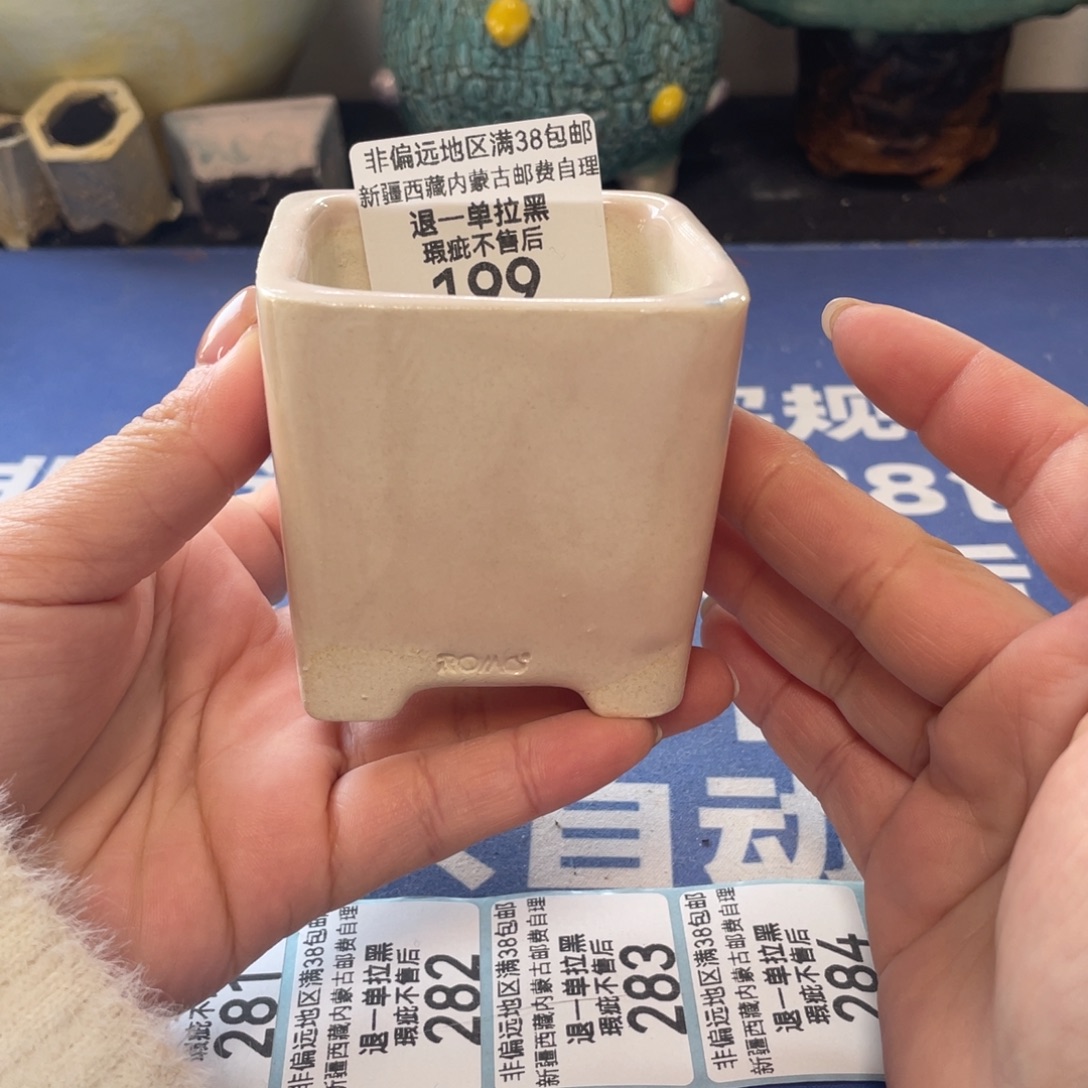 微瑕陶艺多肉花盆199