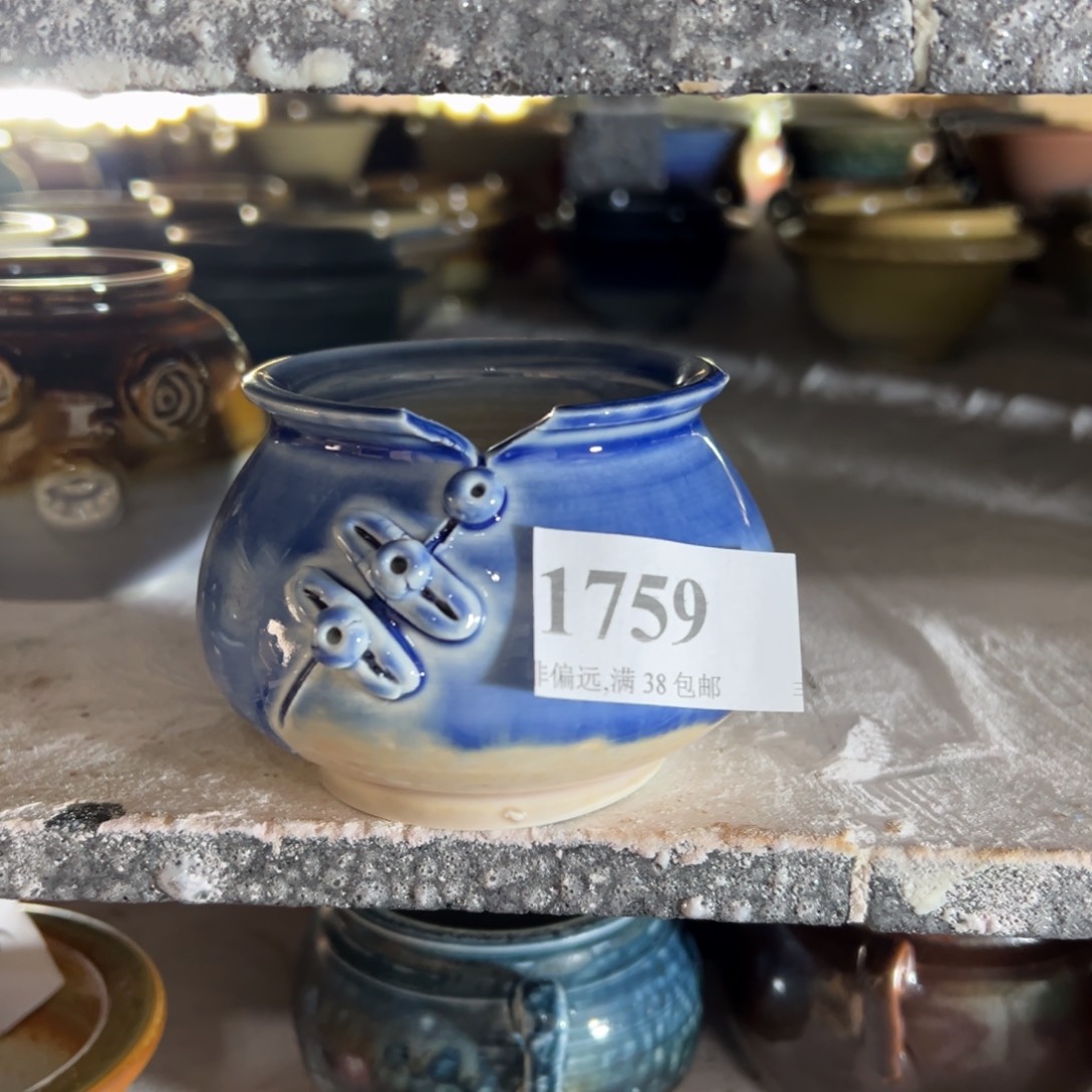 红陶口6高6 景德镇手工花盆