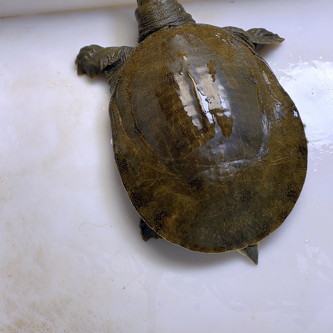 中国大陆12345678