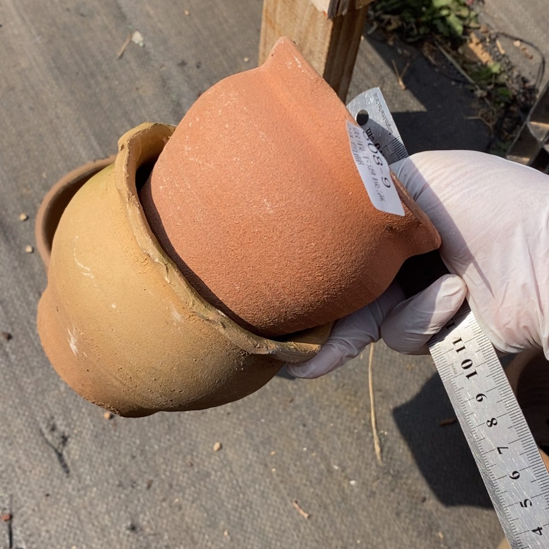 红陶9号多肉盆两个