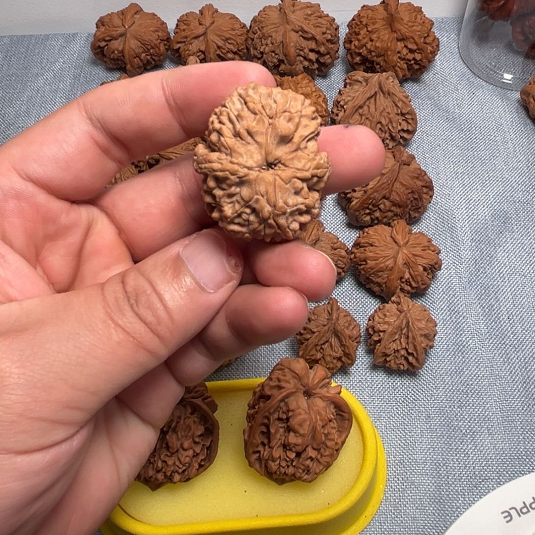 故***人核桃核桃核桃核桃