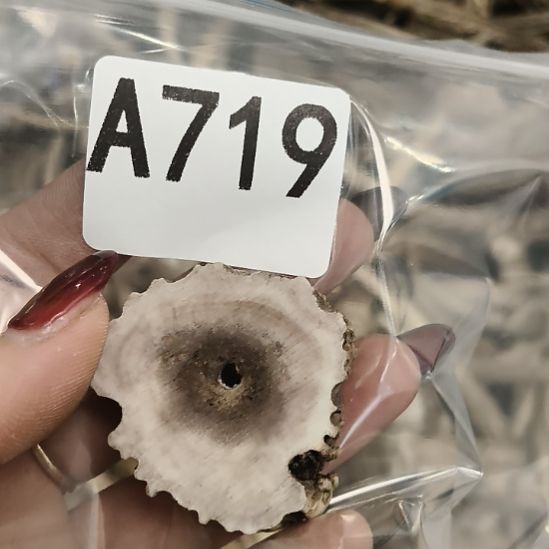 闲***事鹿角鹿角鹿角鹿角鹿角鹿角