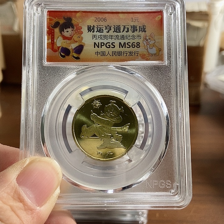 合金指***光一狗 众诚彩标68分