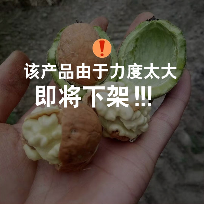  8-27现货【明日达】人工去青皮四川新鲜湿亥洮头茬果鲜亥洮XX 四川省