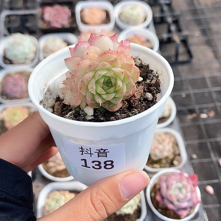 一物一拍满十元包邮发货 138