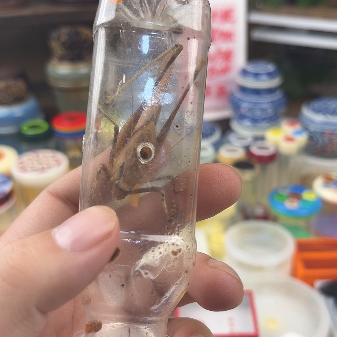 立***哥一条蛙纺拍拍拍拍