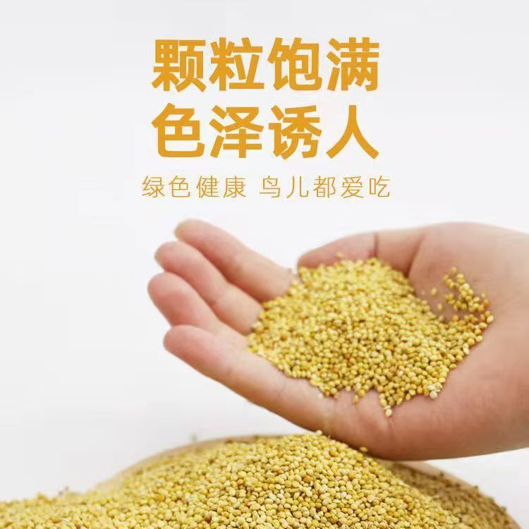 养殖场专用带壳黄谷子鸟粮虎皮牡丹玄凤等中小型鹦鹉专用饲料