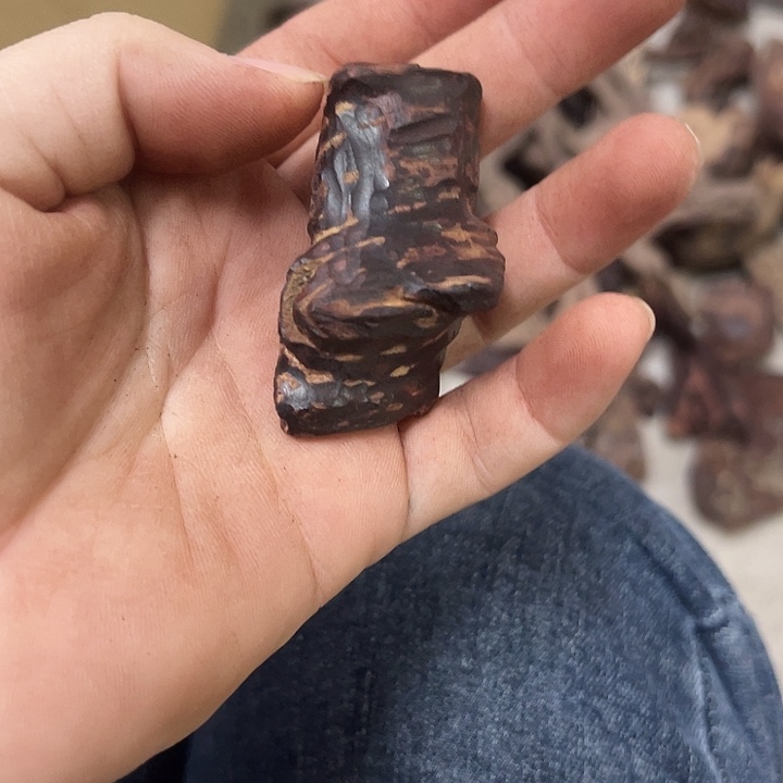 1***然海南红降虫漏小料