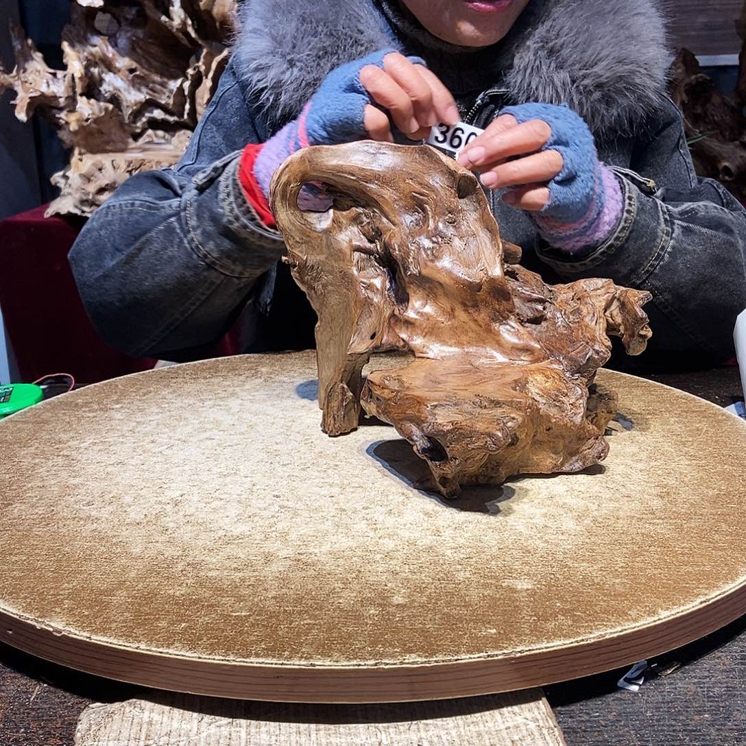 不***的360。株木随行根艺