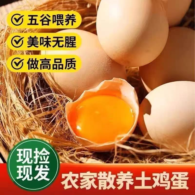 [50枚]z农家散养土鸡蛋笨鸡蛋五谷喂养营养丰富50枚