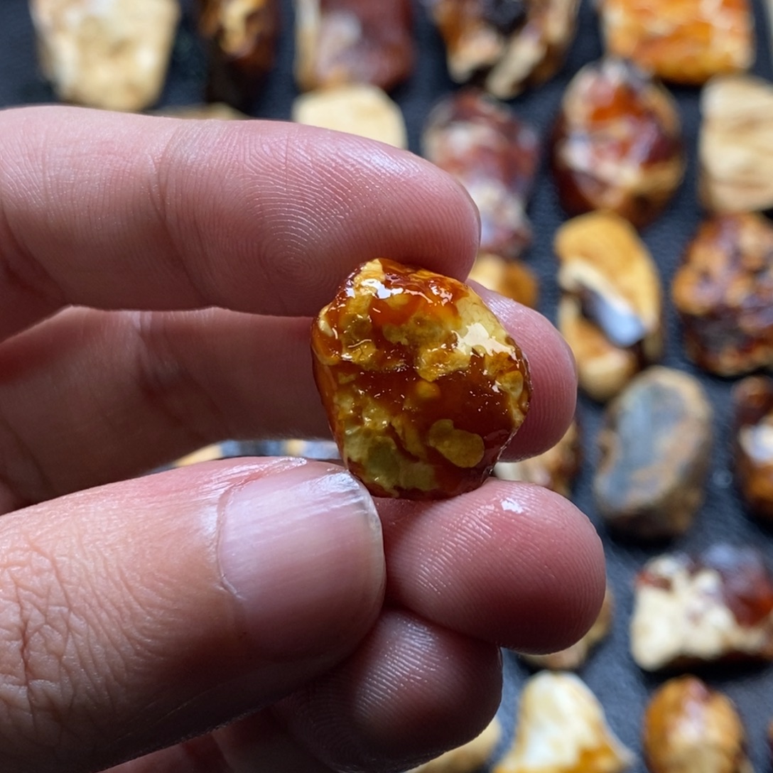 定制琥珀未镶嵌琥珀蜜蜡原石定制