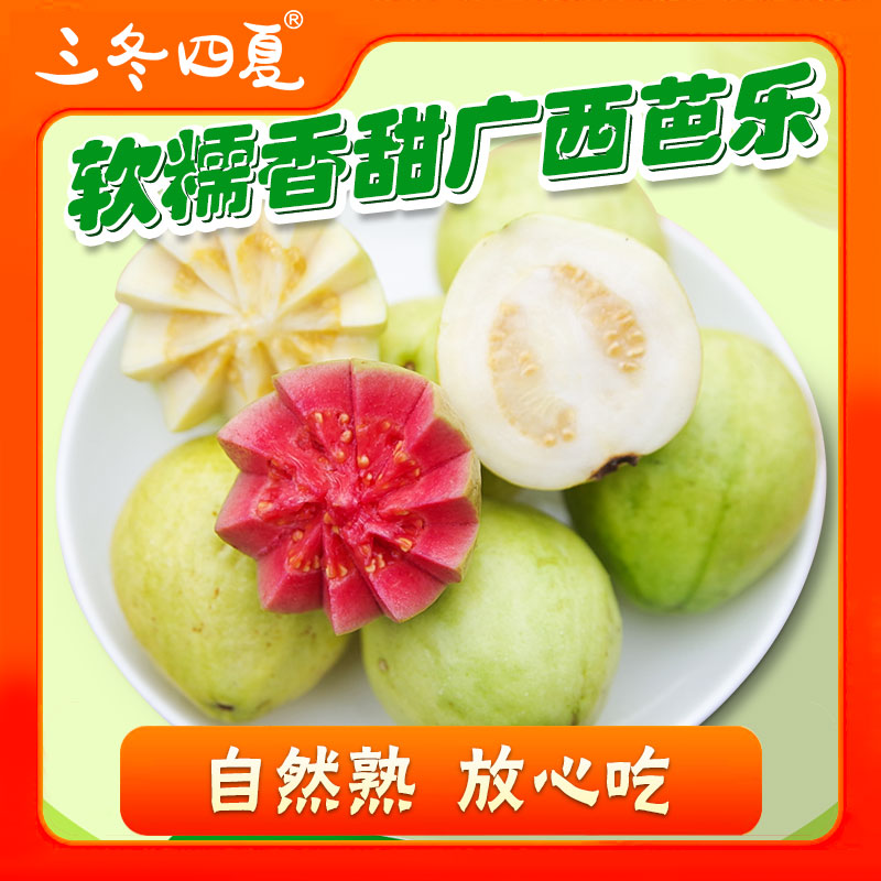 三冬四夏【顺丰包邮】广西红白心芭乐软糯香甜低糖健康新鲜番石榴B