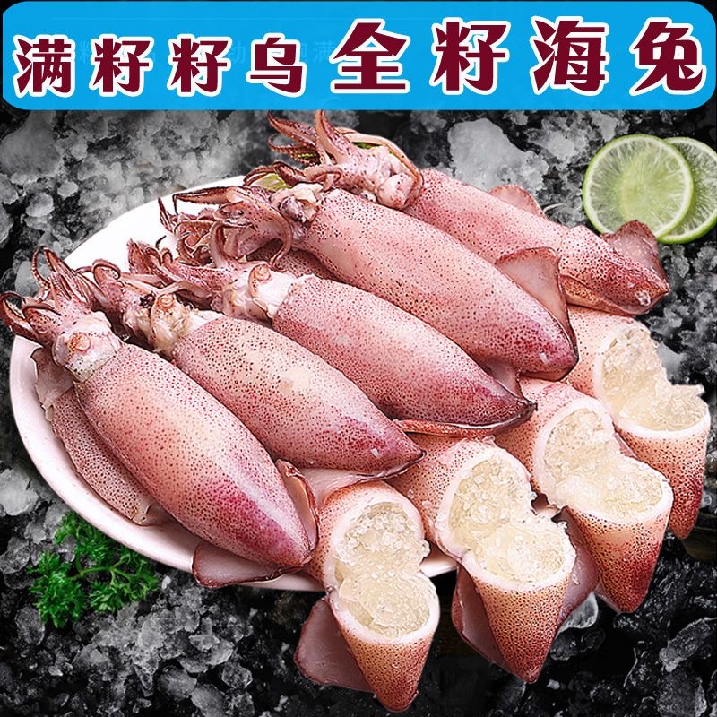 野生海兔笔管鱼籽乌灯光海捕小鱿鱼天然带籽带膏