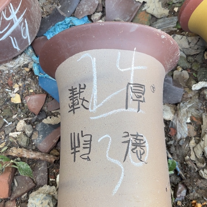 紫砂花盆紫砂的花