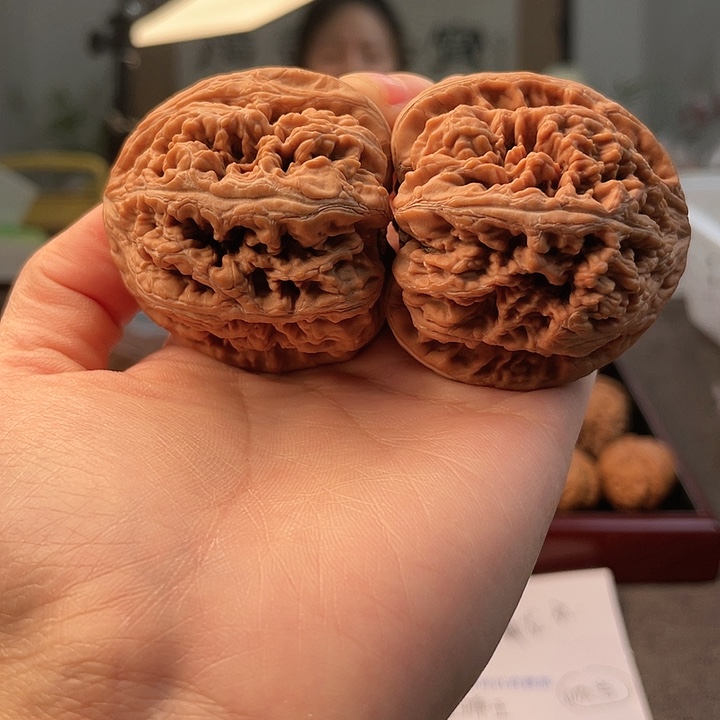 文玩核桃把件蔡*绅粗筋