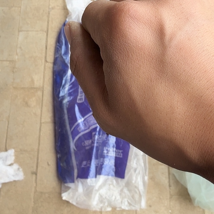 草球盲盒仙人球0341