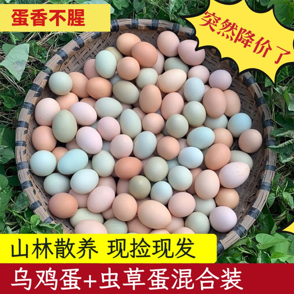 【混合装】农家散养土鸡蛋正宗乌鸡蛋绿壳蛋混合装新鲜整箱批发