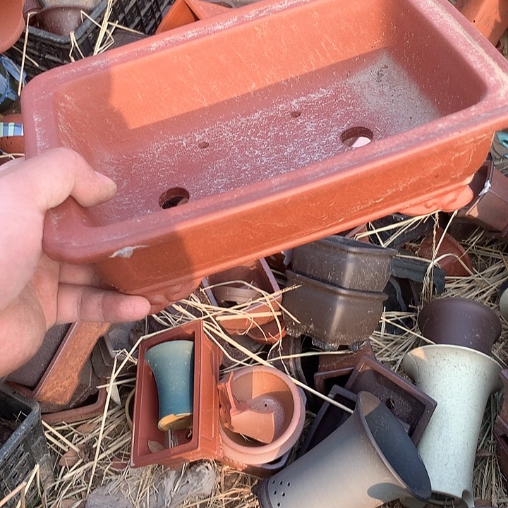 紫砂优秀青年科技人才创新