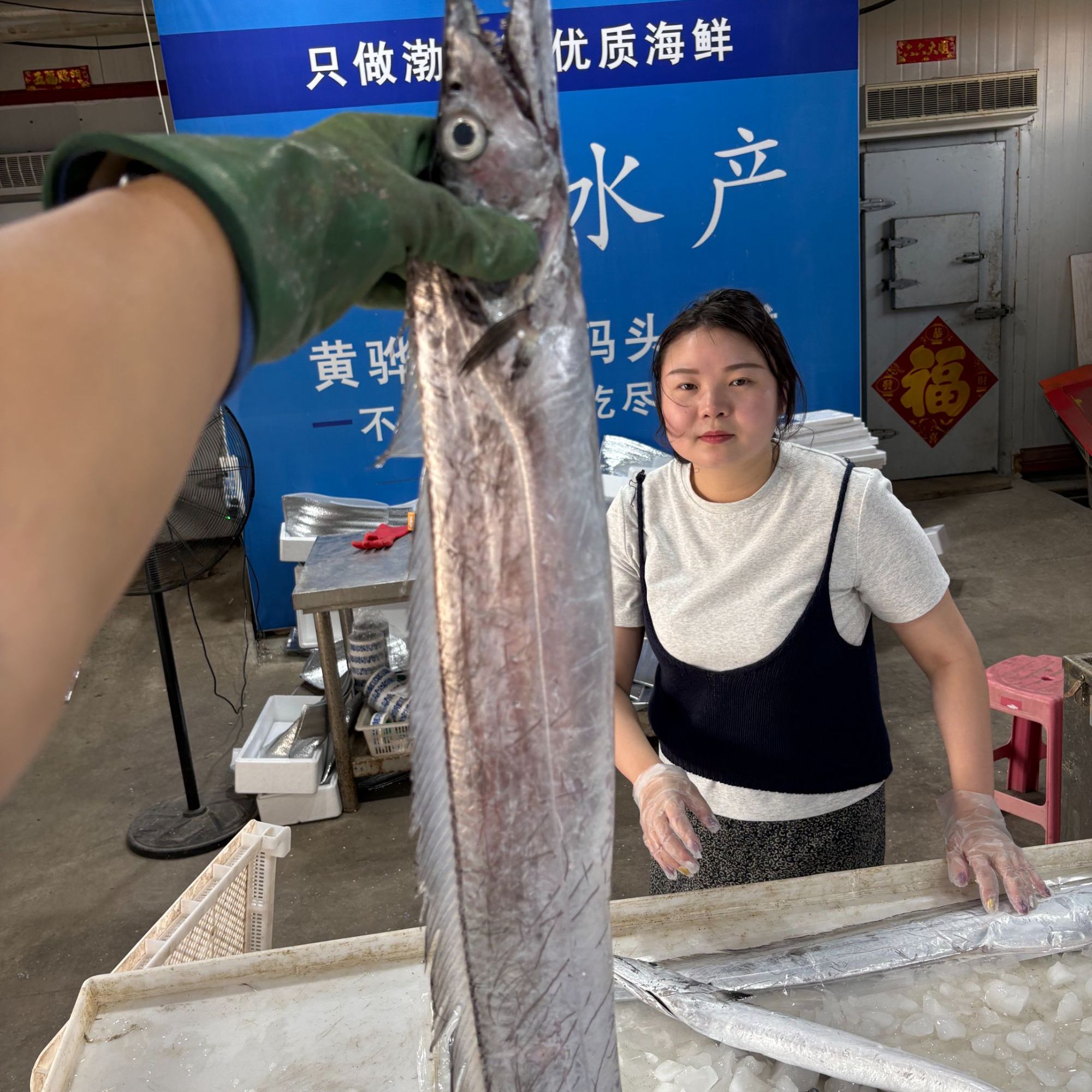 本地渤海带鱼，小眼带鱼，肉厚油带，冷冻发货