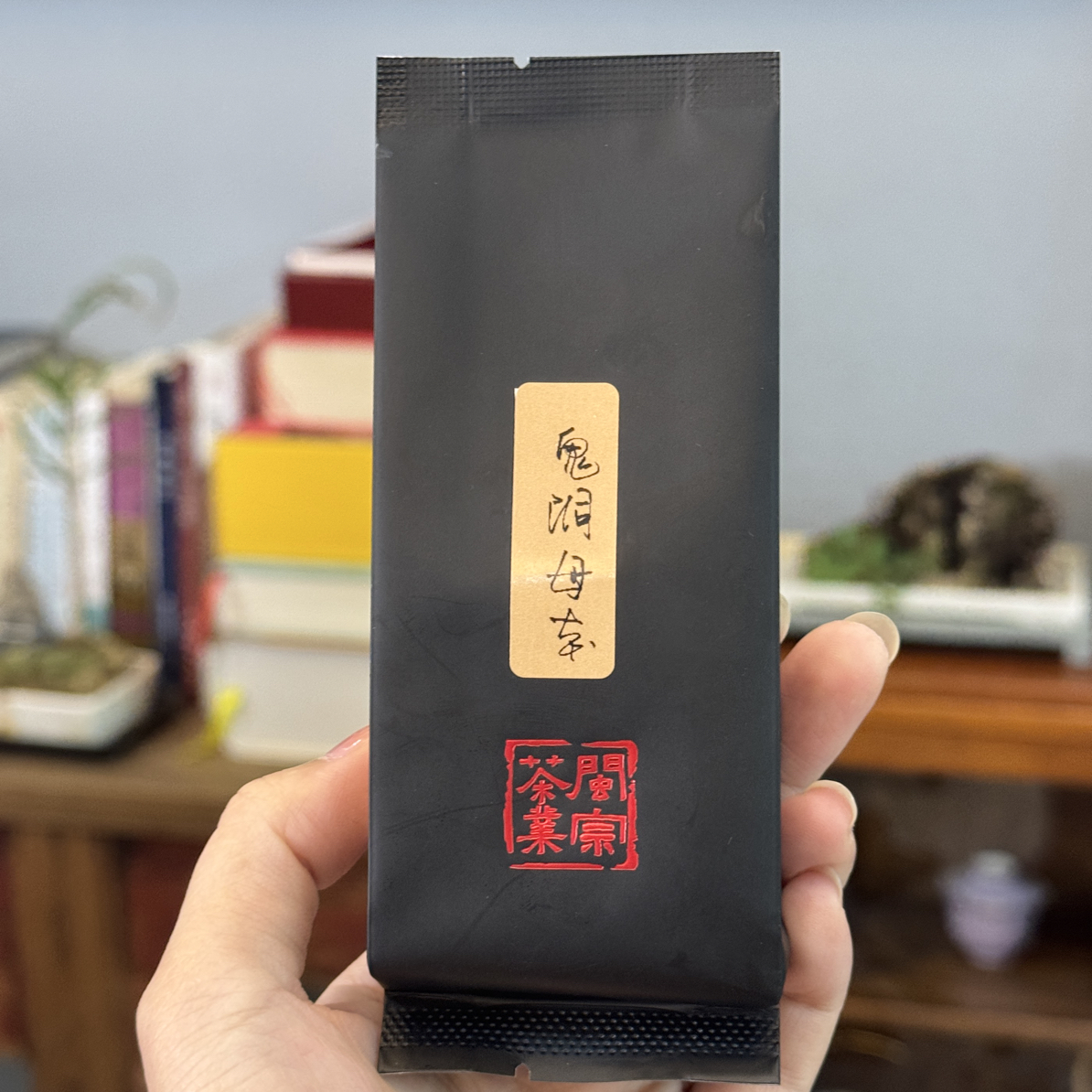 闽宗 鬼洞母本 茶