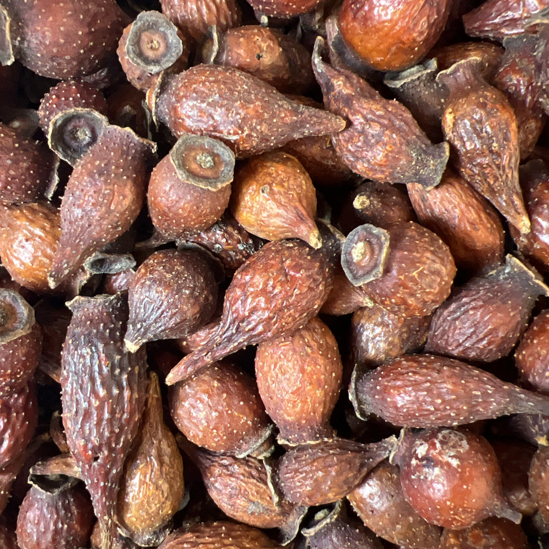 精选正宗云南金樱子滋补干货手工自然晾晒可泡水煮水喝