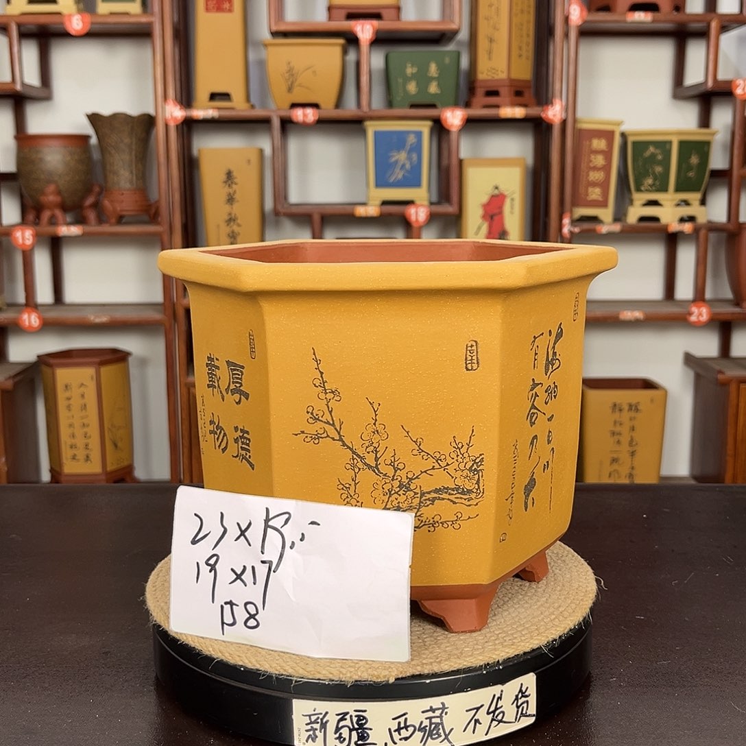 紫砂花盆紫砂花盆