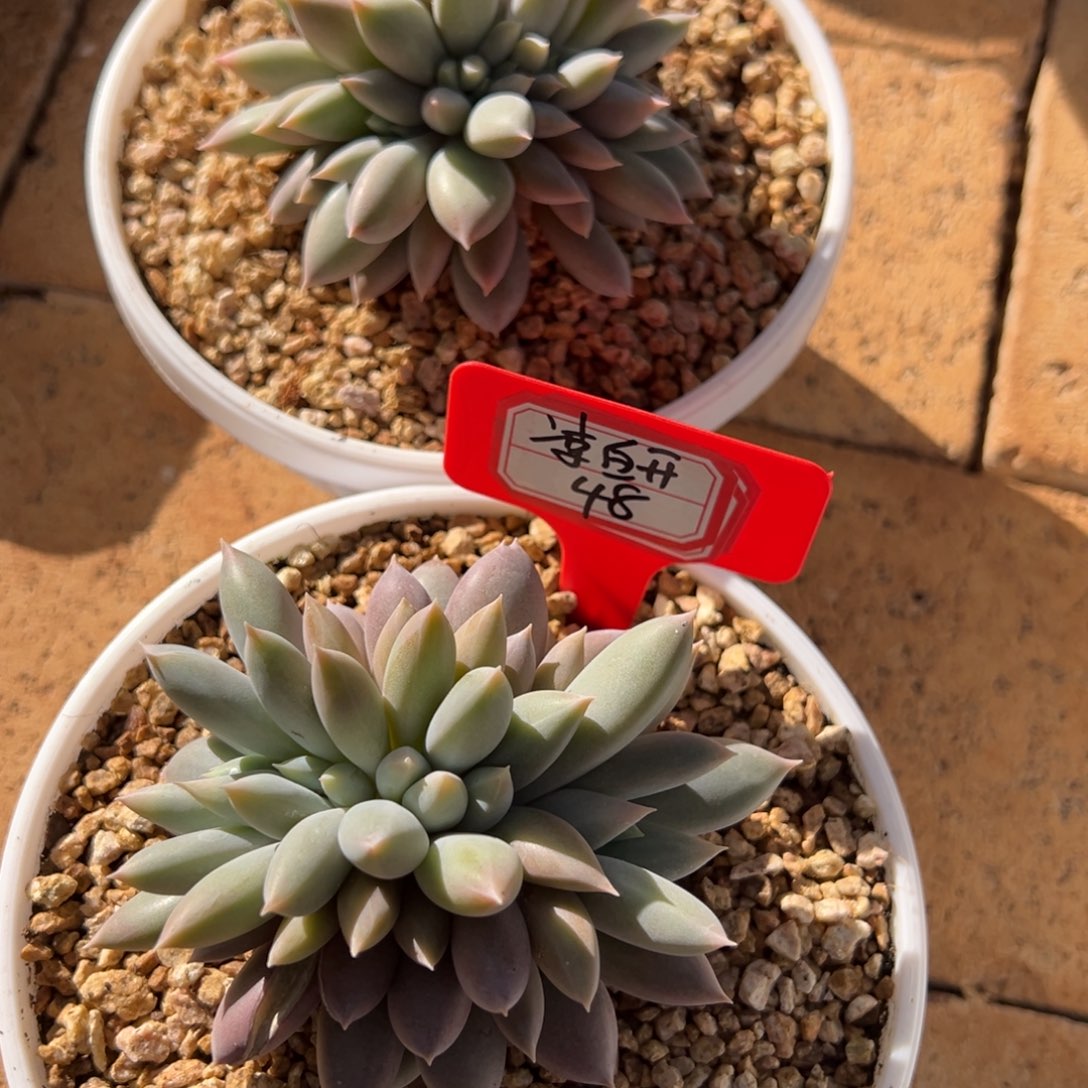 凉***开我在等他来给你们打电话