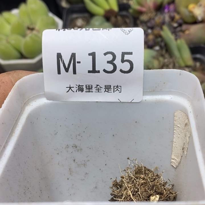 双***崽55555666669988888898