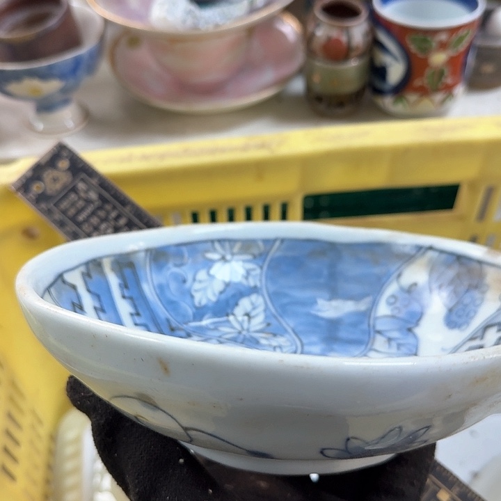 碗开播啦….开播啦