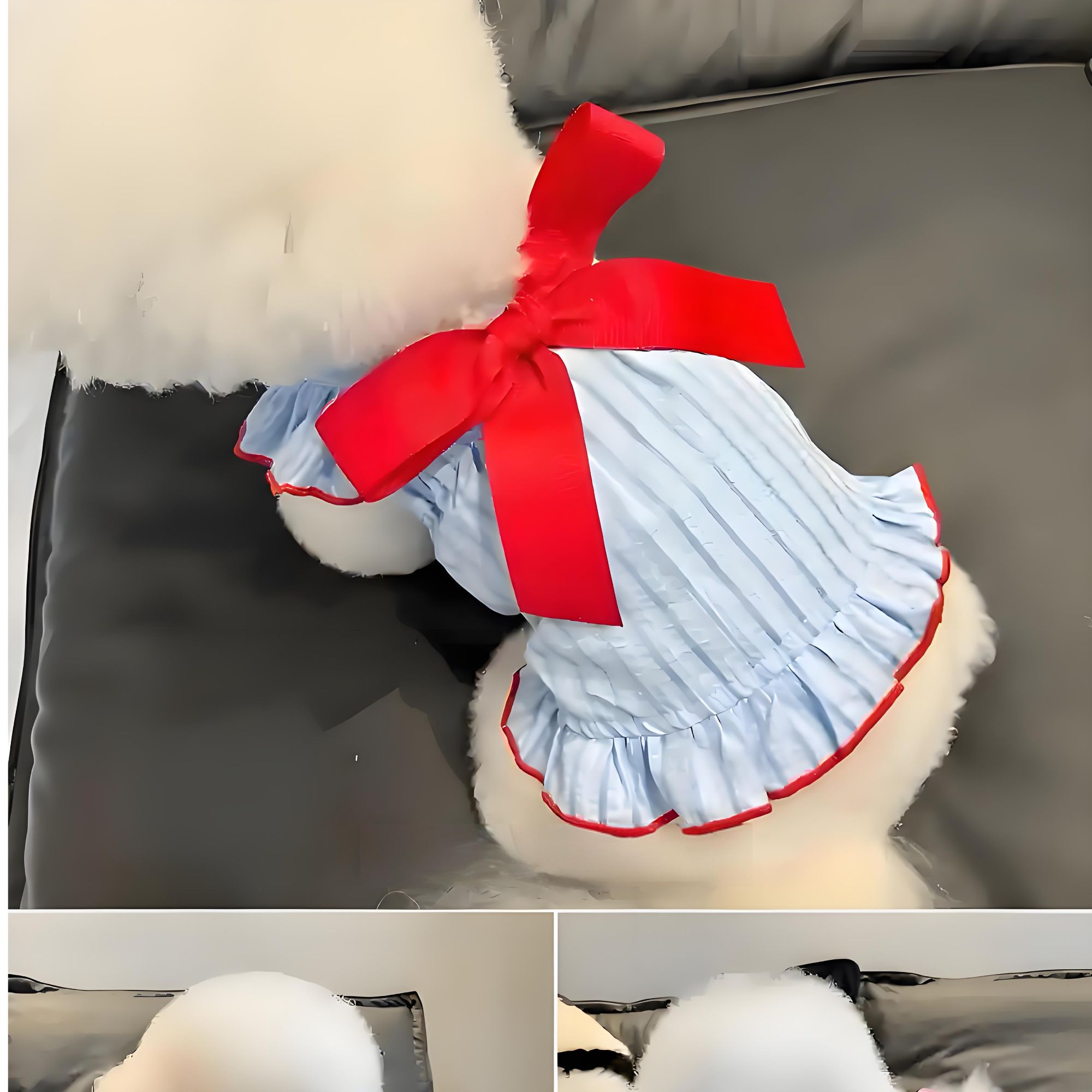 宠物服装过款直播间no退no换介意勿拍