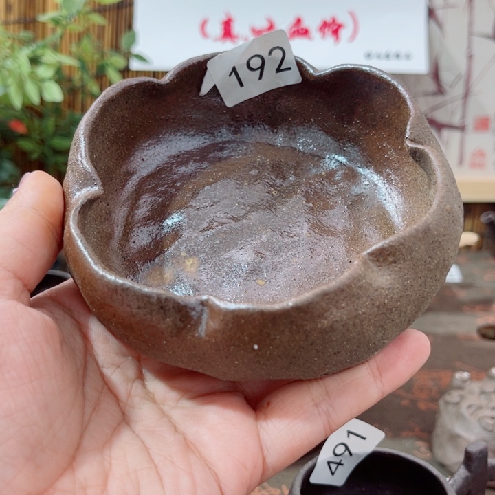 木村信弘柴烧保平