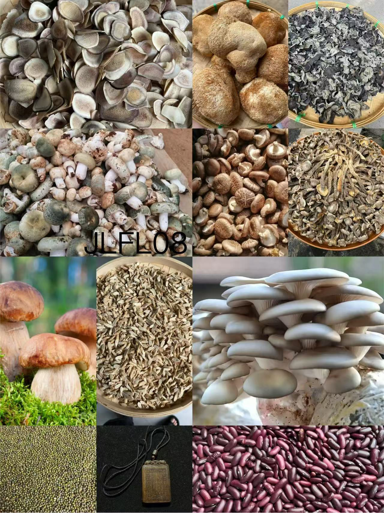 【孙哥专属土特产JL-FL08】多样性发货 重量27克