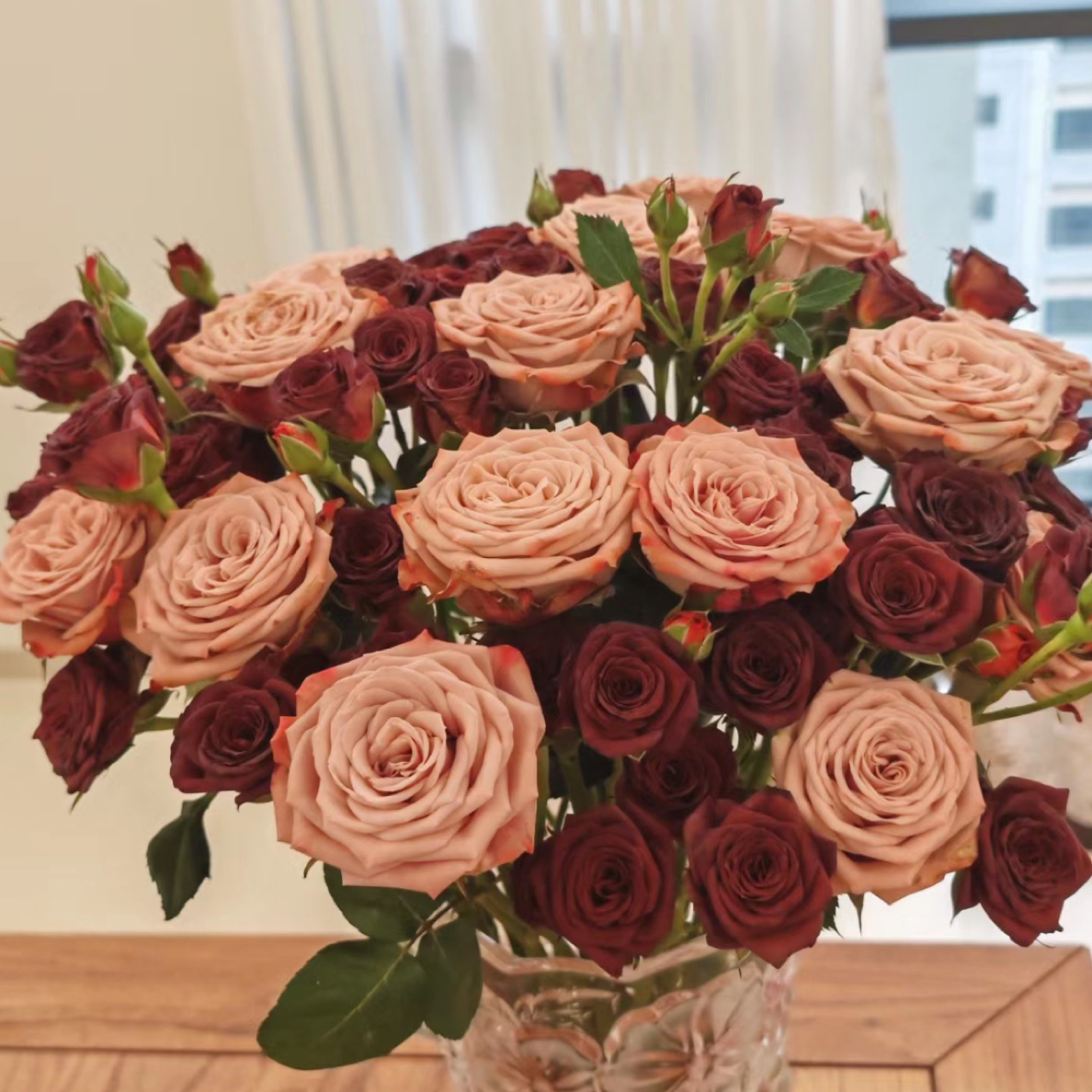 【复古碰撞】卡布奇洛15枝发17-20枝（5枝不售后）✖巧克力10枝+营养剂