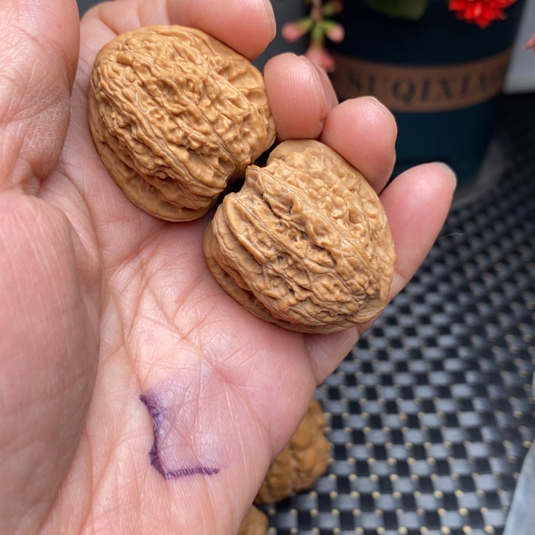 文玩核桃把件密纹32