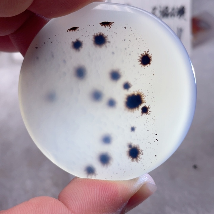 【闪购商品】玛瑙/玉髓颈饰未镶嵌