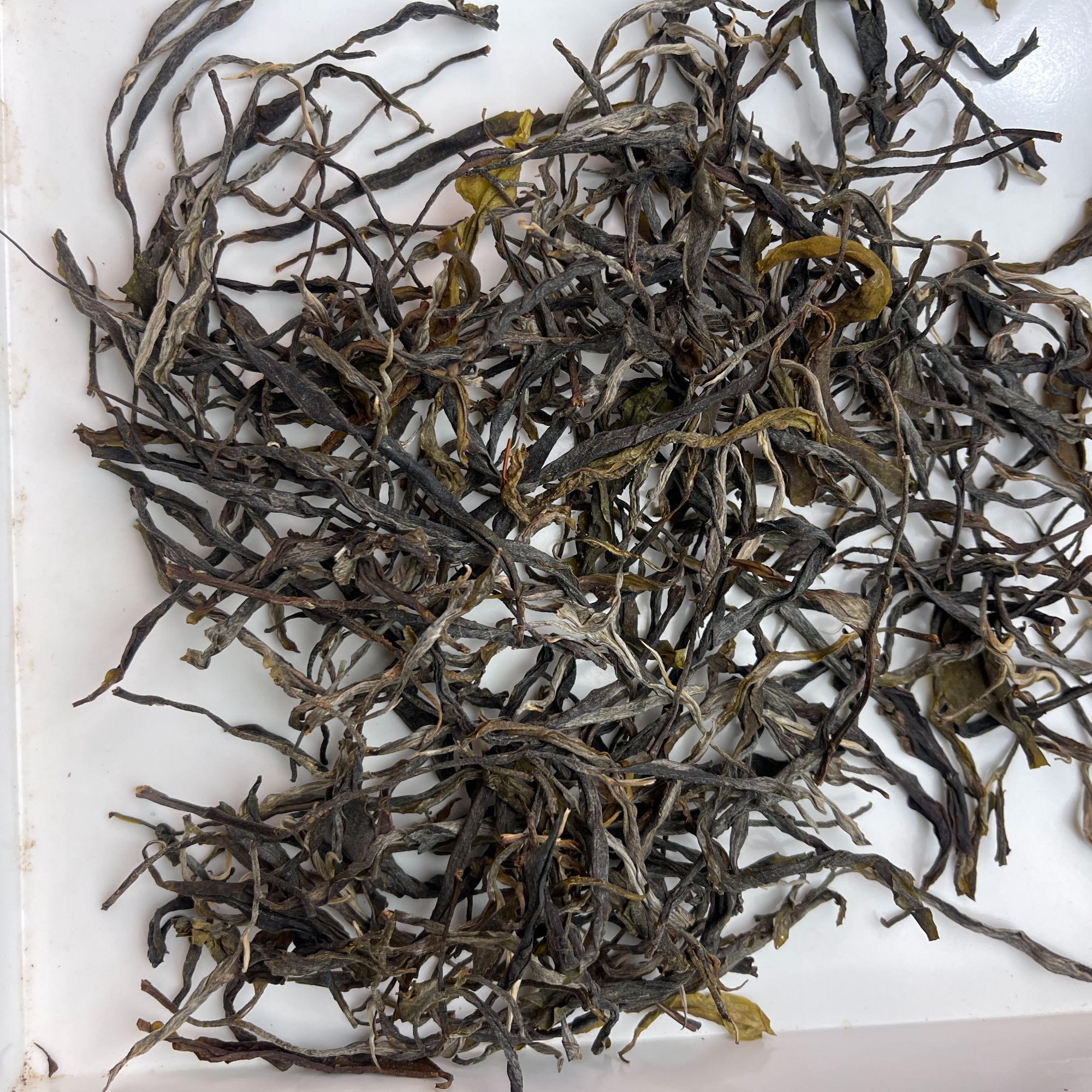 7月3日 25年金三角单株普洱茶 生茶散茶 A018号