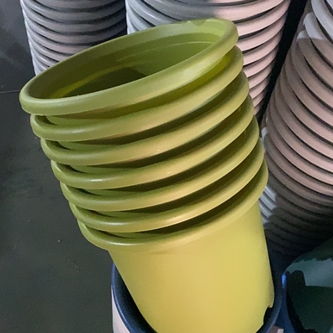 树脂特价6号5个无托果绿