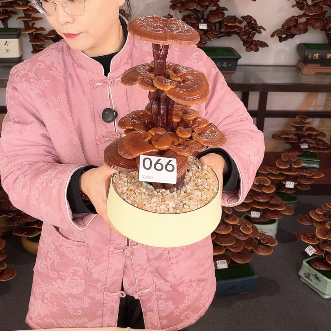 万事如意888880066