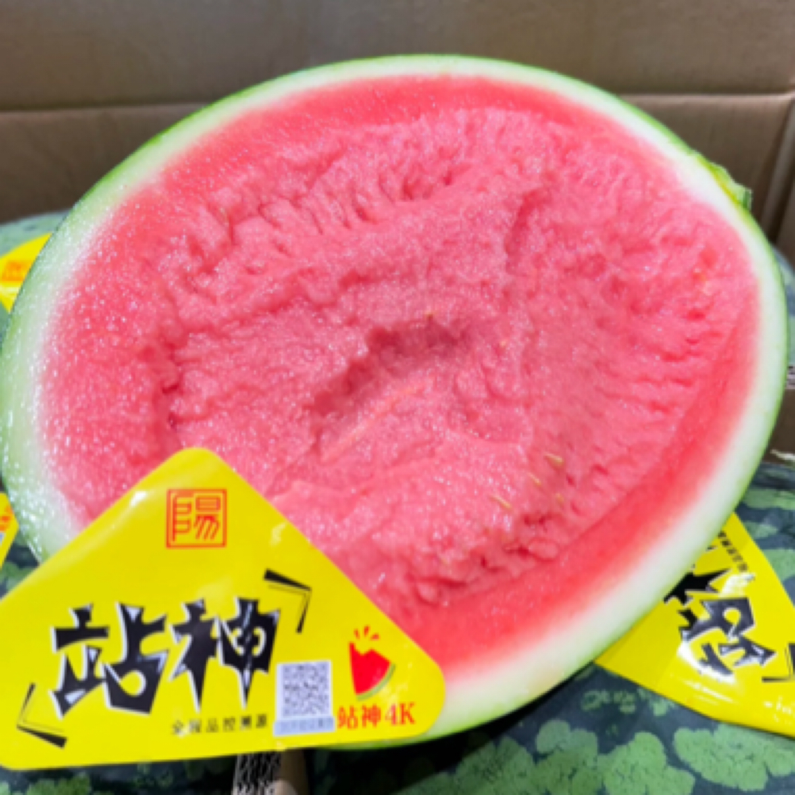 【站神西瓜】一个约10斤江苏省