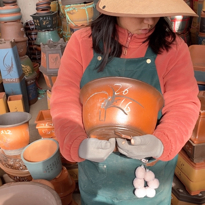 紫砂花盆盆栽花卉苗木种植