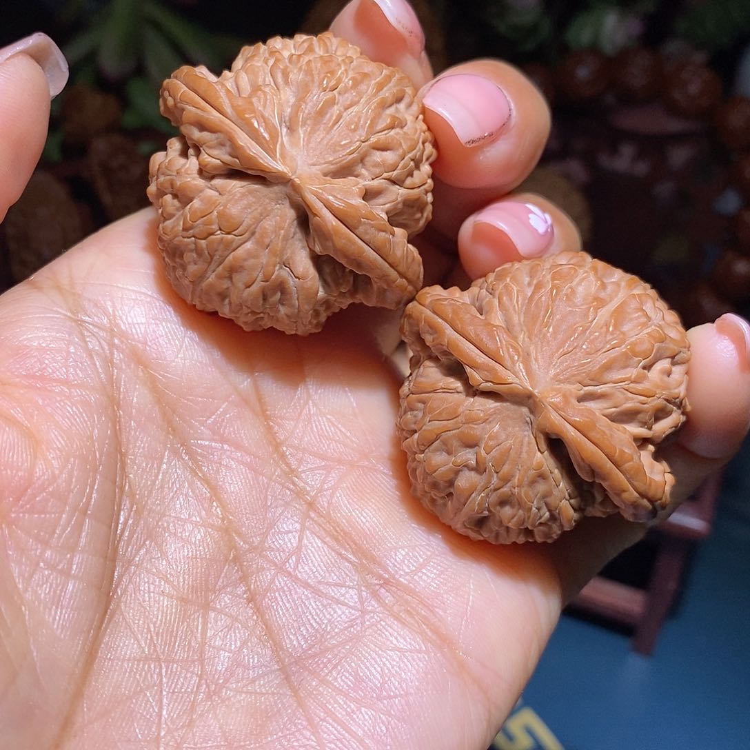 文玩核桃把件白狮子39