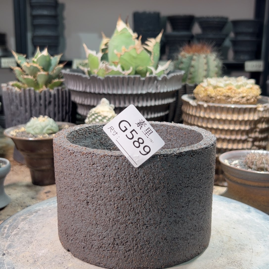 景德镇素里手工包括12.5高10